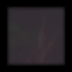 ブログ動画