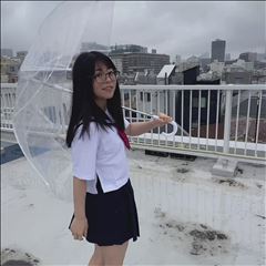 ブログ動画