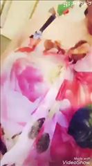 ブログ動画