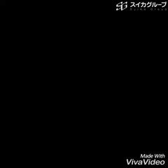 ブログ動画