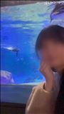 動画🩷