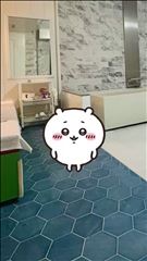 ブログ動画