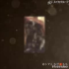 ブログ動画